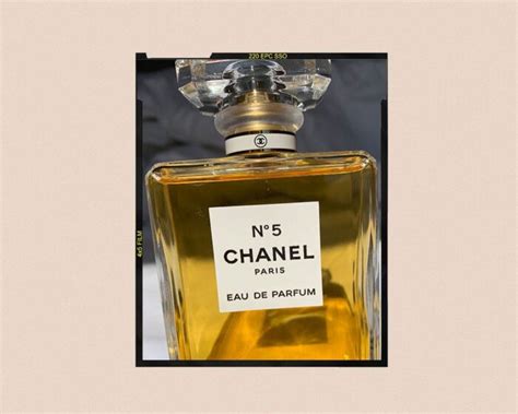 chanel 6 perfume|what does chanel no 5 smell like.